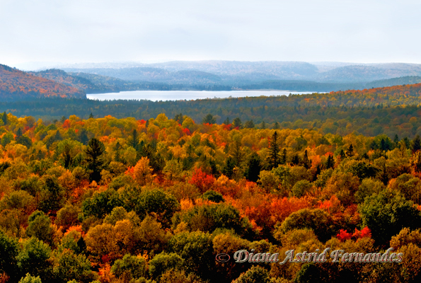 Alqonquin-Park-overlook-in-the-fall